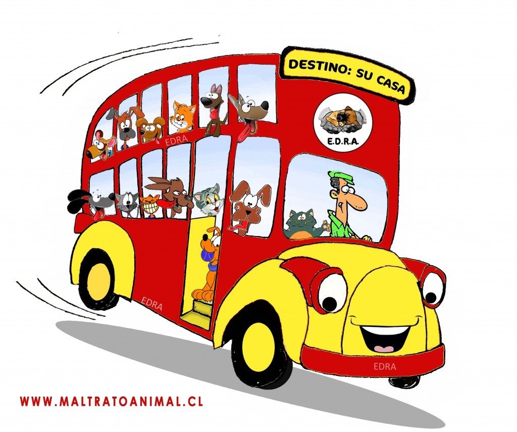 adopciones non stop edra copy