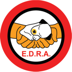 Fundación EDRA: "Cambiamos Vidas".
